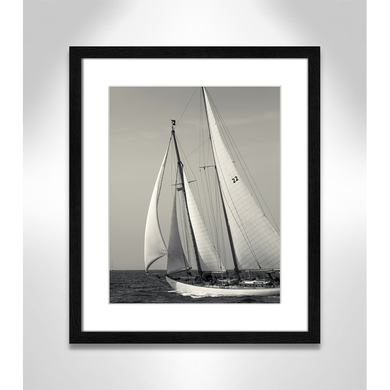 Amaryl Fair Wind par Danita Delimont - reproduction de photo encadrée, H 19 po x l 16 po x P 0,75 po, Cadre noir