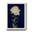 «Pretty As A Peony I», reproduction d'art sur papier-872469532-872469733