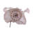 14.5'' Fabric Angels Lighted Tree Topper