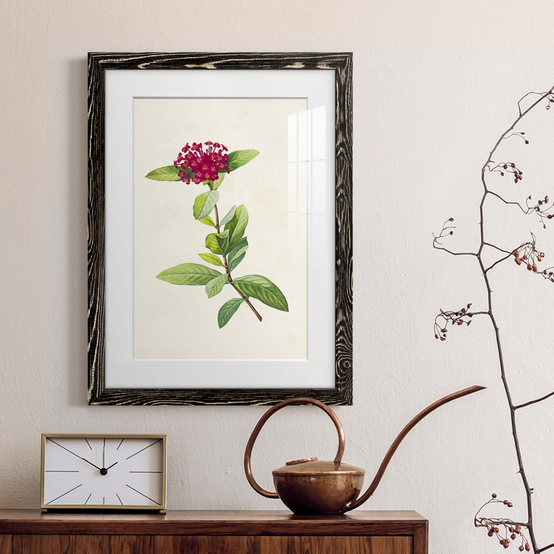 «Pretty Botanicals II», cadre photo, H 44 po x l 31 po x P 1 po, Cadre noir
