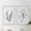 «Corals in Blue», ensemble de 2 reproductions d'art sur papier encadrées-50137112