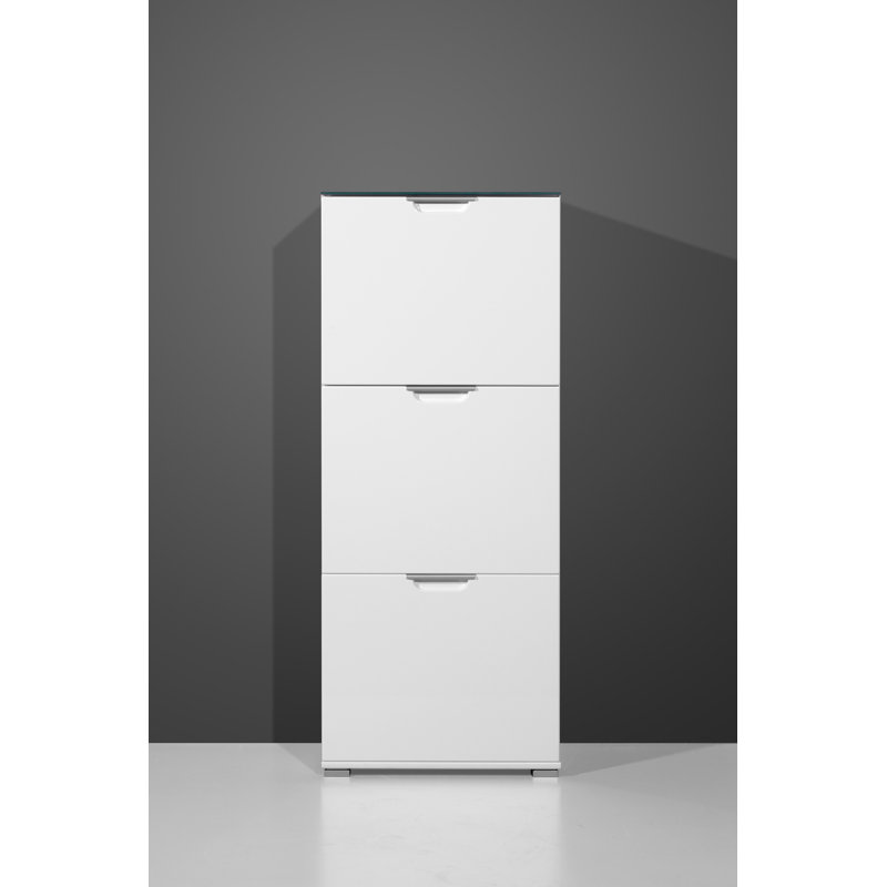 Shoe Storage Cabinet