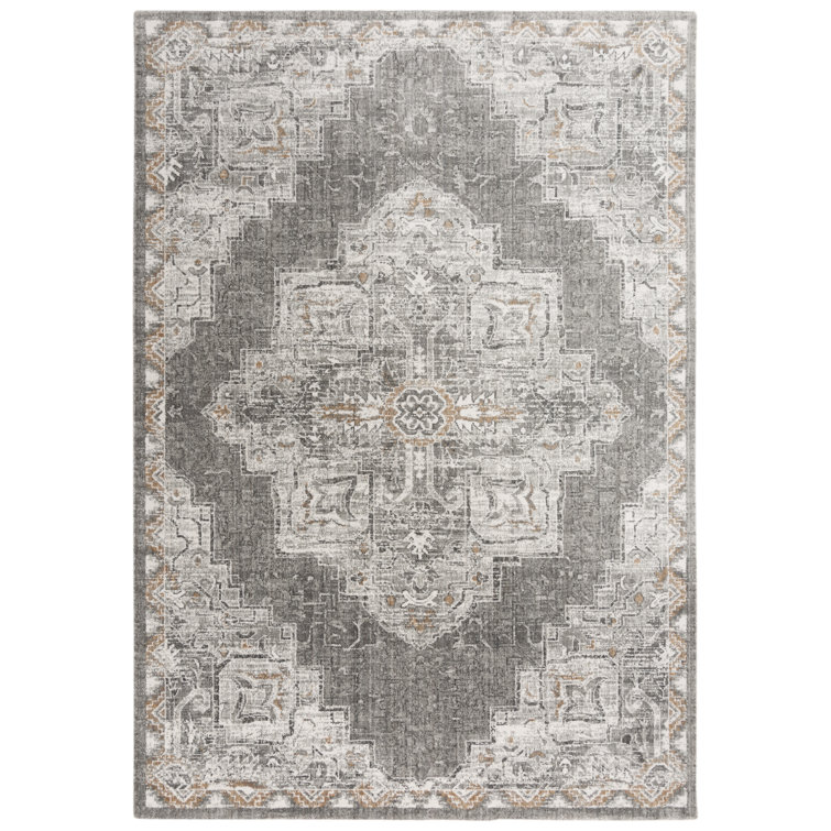 Maxy Oriental Indoor Rug