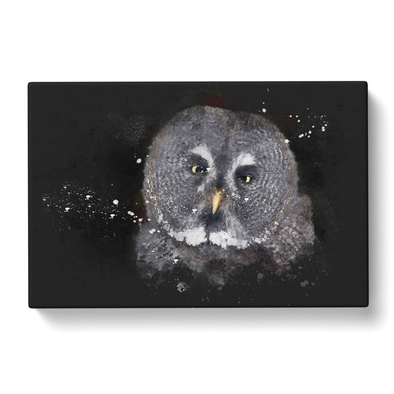 Great Grey Owl Vol.2 - Wrapped Canvas, 35cm H x 50cm W x 3cm D