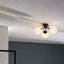 Haslett Glass Spotlight