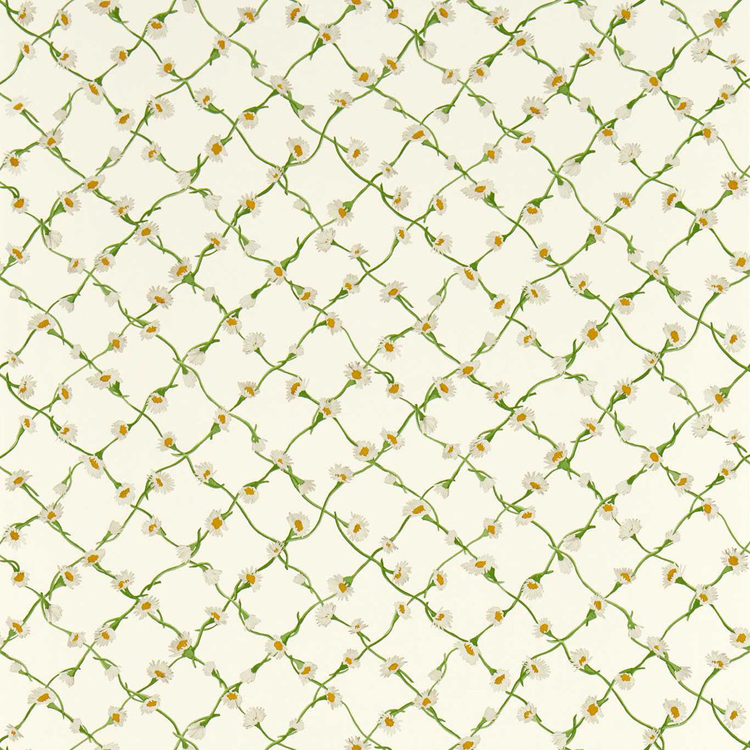 Tapete Daisy Trellis 10,05 m x 52 cm