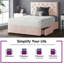 Eberhardt Divan Bed Base-101285748-95753168-95753166