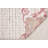 Vera Modern Tickled Pink Area Rug-1250494230