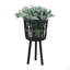 S / 3 POT DE BAMBOU 11/13/15 ", NOIR