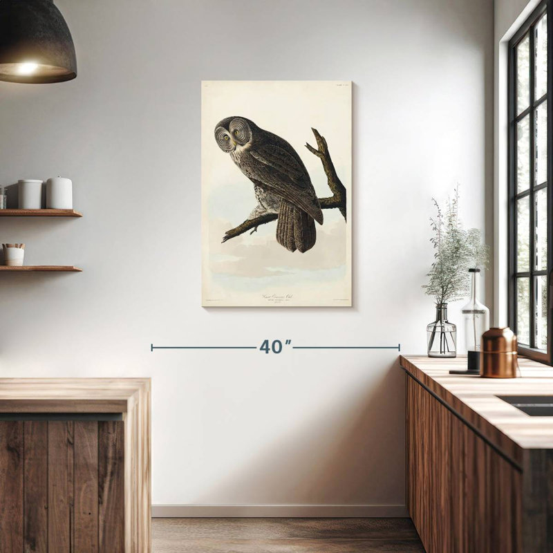 Brampt Great Cinereous Owl, 36" H x 24" W