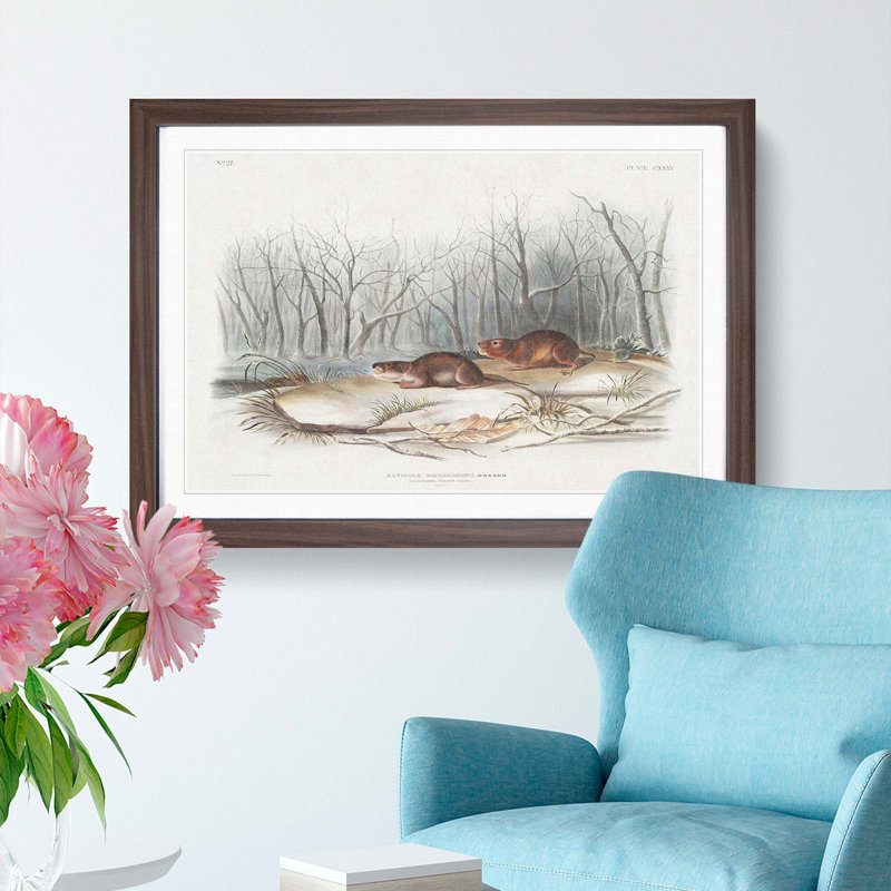 Meadow Mouse by J.W. Audubon - Framed Print, 48cm H x 65cm W x 2cm D, Walnut Framed