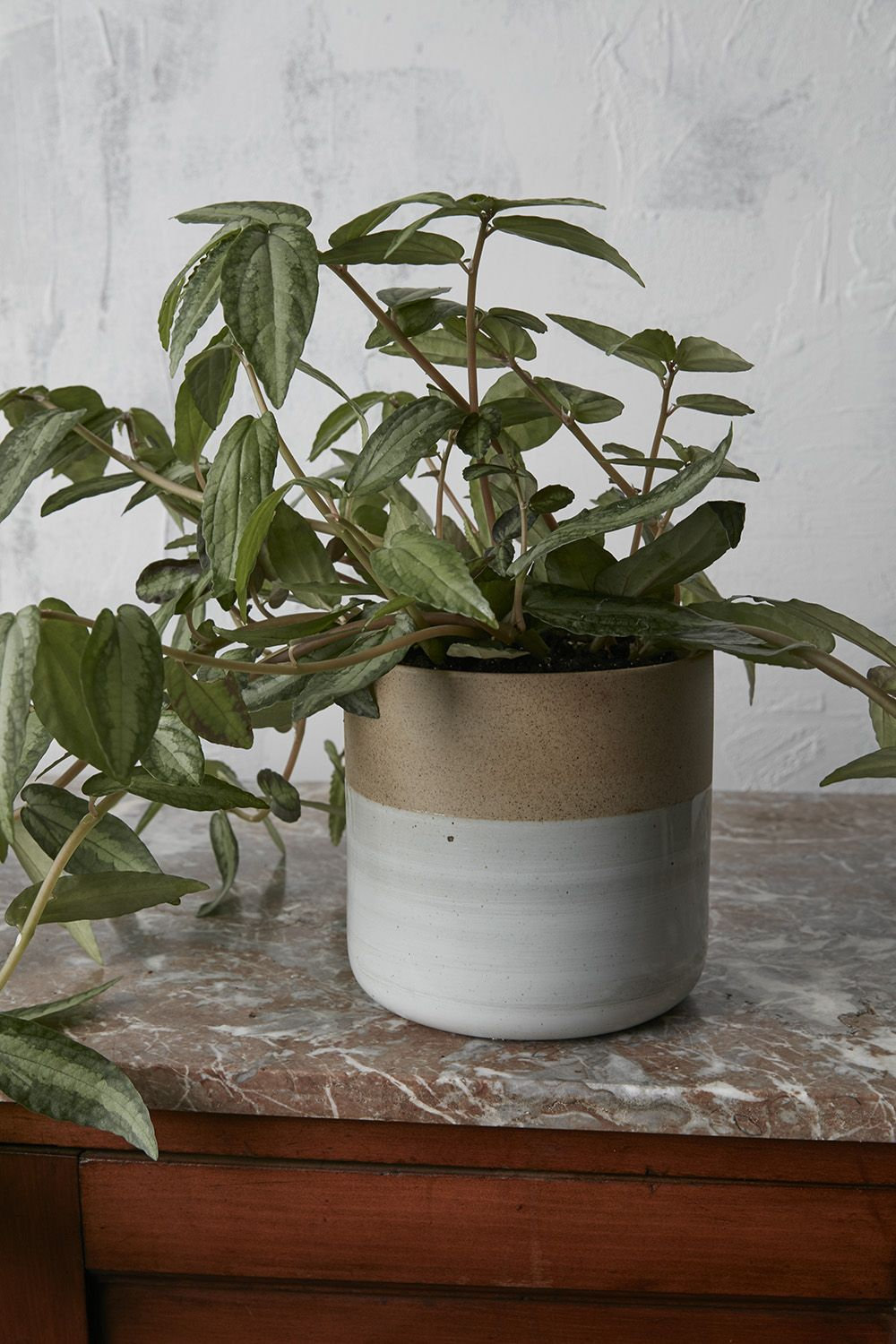 Hico 7" Ceramic Pot Planter
