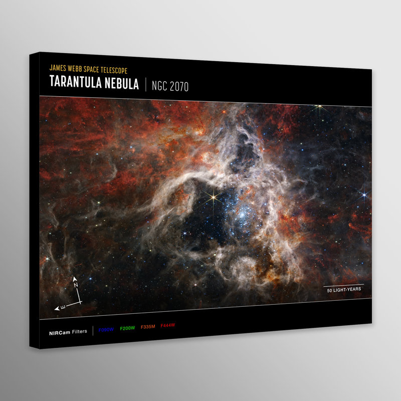 NASA James Webb Space Telescope - Tarantula Nebula Compass - Print on Canvas, 21cm H x 31cm W x 4cm D