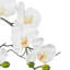 Arrangement floral d'orchidées phalaenopsis artificielles dans un vase en verre