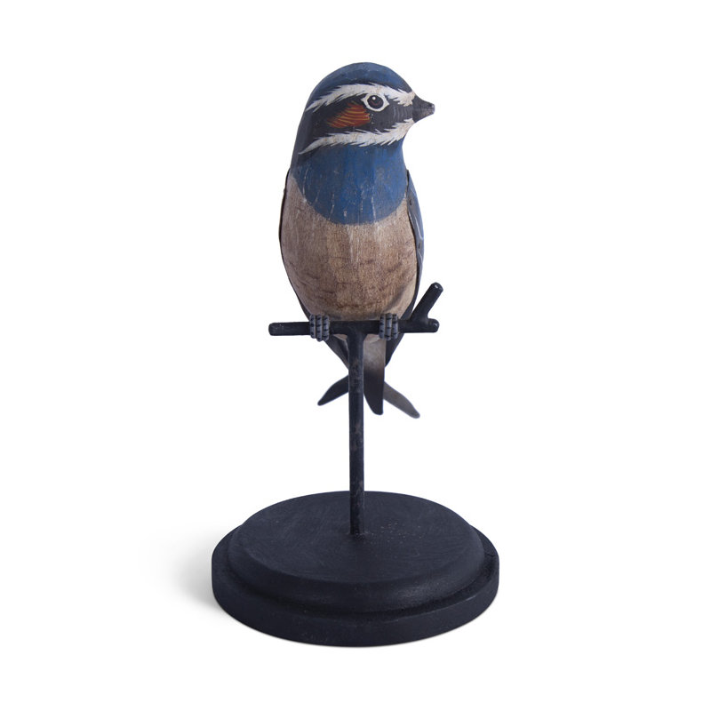 Treeswift Whiskered
