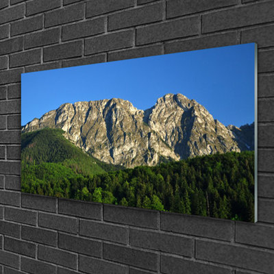 Glass Print Wall Art 100X50cm Image Printed On Glass Decorative Wall Picture Behind Toughened / Tempered Safety Real Glass For Kitchen & Living Room Theme: Mountain Forest Nature