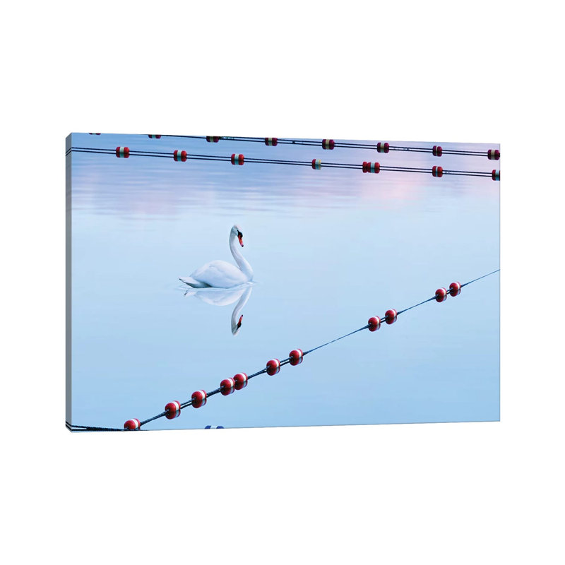 Swan and Ropes 1 Piece Wrapped Canvas Wall Art, 66.04 cm H x 45.72 cm W