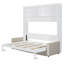 Grand lit escamotable mural avec canapé-236794607