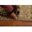 Tapis en laine Anallise