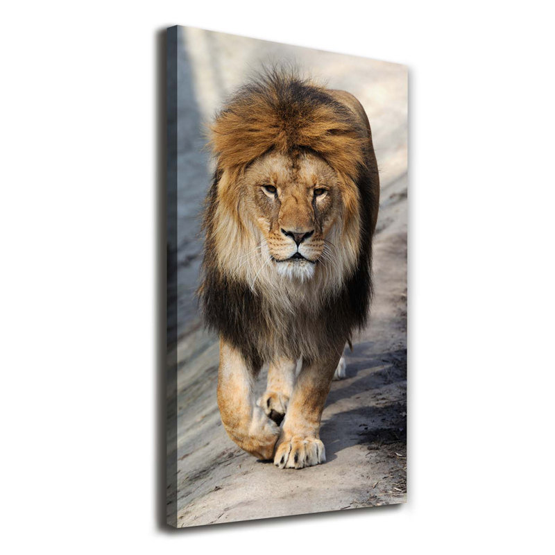 Lion - Wrapped Canvas Print