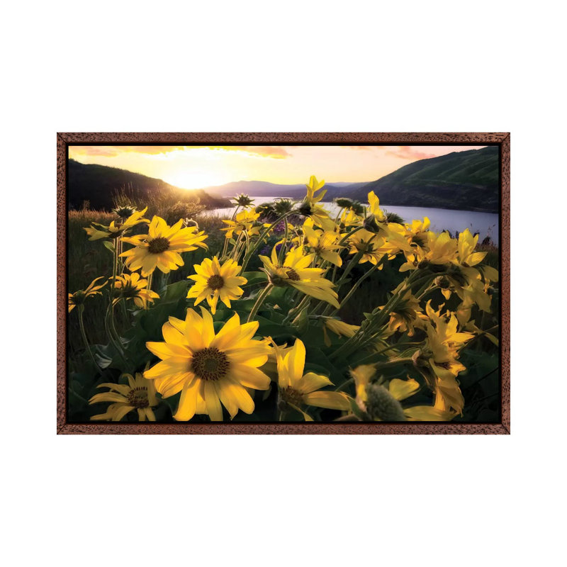 Columbia Flora by Dennis Frates - Print on Canvas, 66.04cm H x 101.6cm W x 3.81cm D, Classic Brown Wood Framed