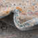 Alize Oriental Indoor Rug