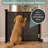 Katziela PawBarrier Retractable Mesh Gate