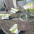 Northpoint 6 - Person Wicker Patio Dining Set with Round Table , Cushions Included-285065451-384513937