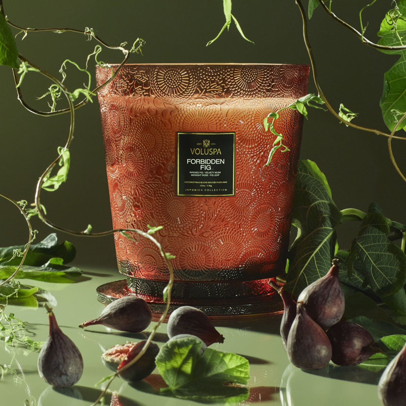 Forbidden Fig 5 Wick Hearth Candle