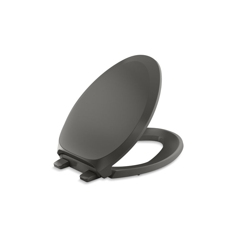 French Curve Elongated Toilet Seat, Thunder Gray, Ready Latch