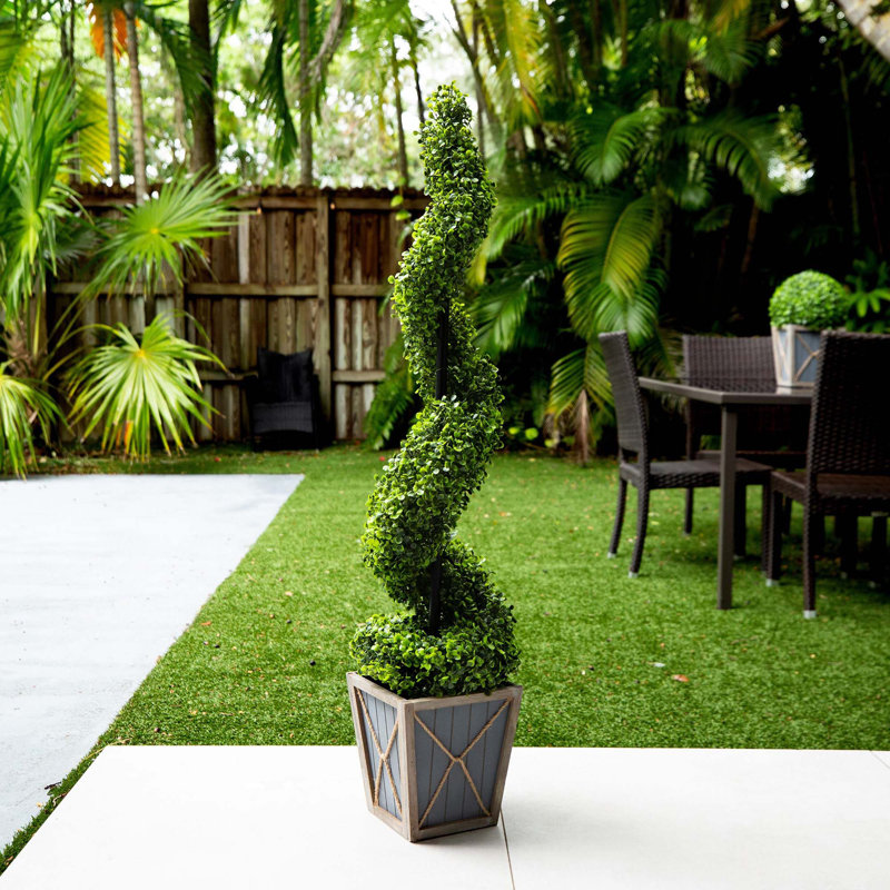 45 plantes