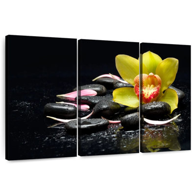 Pierres de spa Harnek Orchid