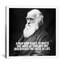 Citation de Charles Darwin, impression sur toile-1714836722-1660173872-1660173866
