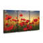Ensemble de 3 panneaux muraux - Albena Markova «Poppies», art mural sur toile pour le salon, la chambre à coucher ou le bureau 