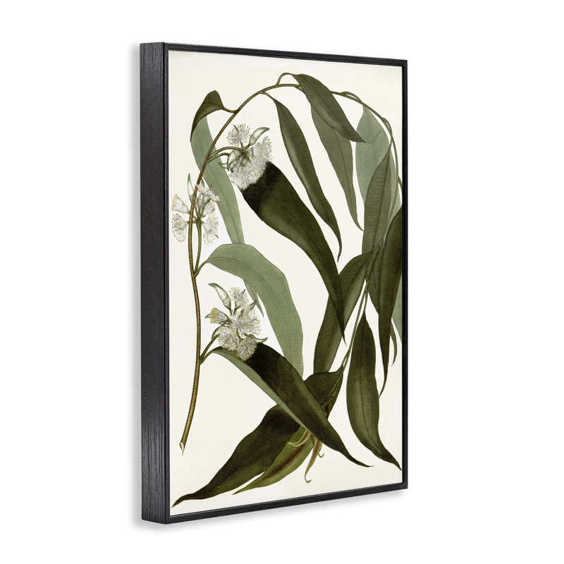 «Curv Wild Herb Flower», estampe numérique, design par Annabelle Hall, H 18 po x l 12 po, Giclée encadrée noir minuit