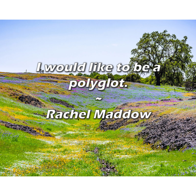 Rachel Maddow Citation: «I souhaitez être polyglotte».