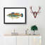 Striped Bass Fish by Edward Donovan - Picture Frame Art Print-55615414-55615416
