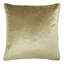 Square Cushion-644906449-589982575