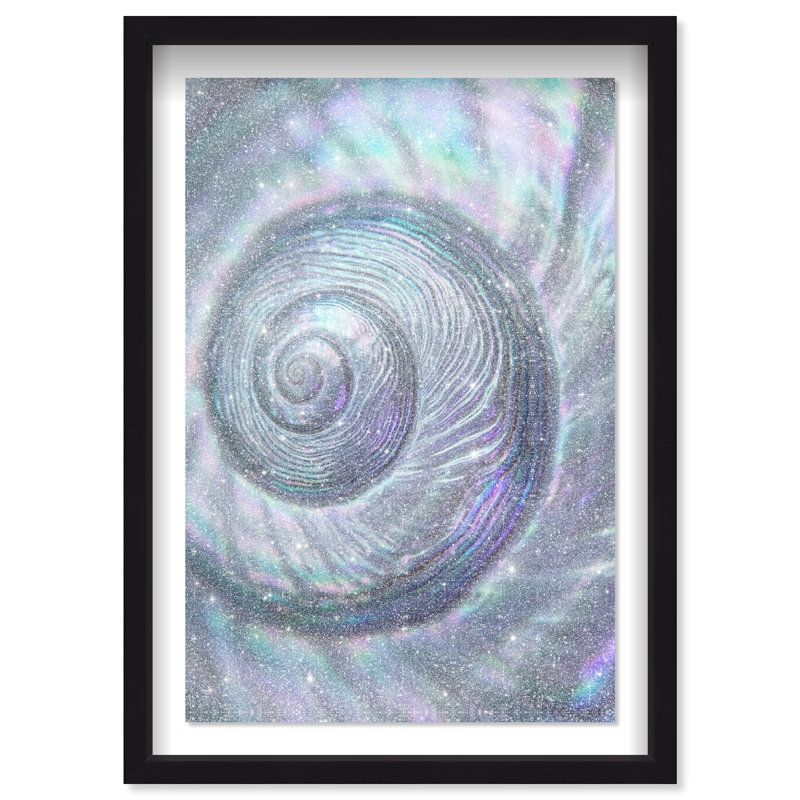 Sea Spiral Shadowbox Nautical & Beach Print by Oliver Gal, Black Frame, 10 x 15, 25.5"H x 17.5"W, Black Shadowbox