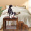 Lit superposé pour animaux de compagnie avec marche amovible pour chiens et chats, plate-forme de siège de fenêtre à plusieurs niveaux avec coussin et coussin à gratter pour chat, utilisation à l'intérieur