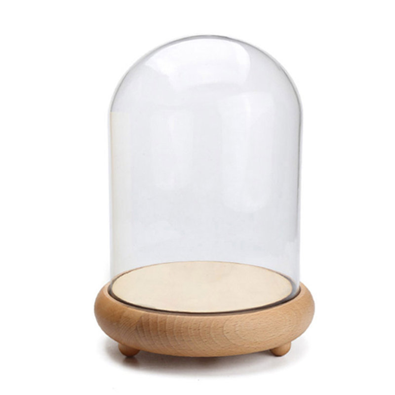 Nolanville Glass Display Dome with Wooden Base for Tabletop, 15cm H x 11cm W x 11cm D