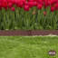 Bordure de jardin