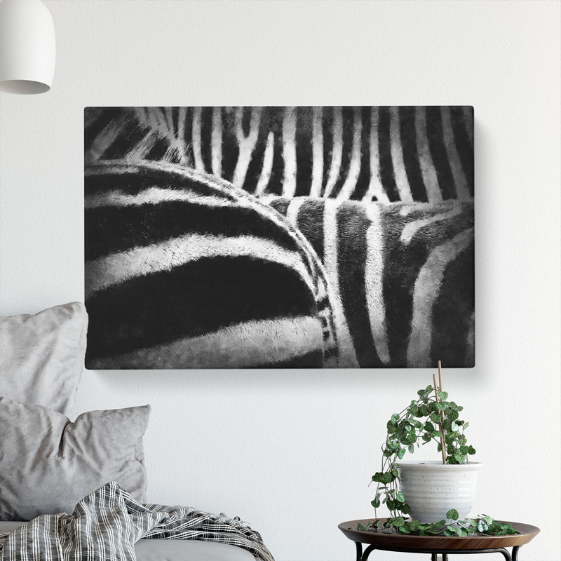 The Stripes of the Zebra - Wrapped Canvas, 50cm H x 76cm W x 3cm D