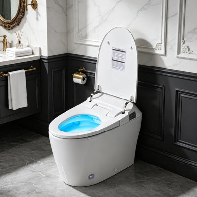 Toilette allongée intelligente, chasse double 1,1 / 1,6 GPF, siège chauffant, chasse au pied / hors siège / occultant, veilleuse, fermeture douce