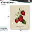 Portrait de fraise, toile par Danielle Murray-1760308071