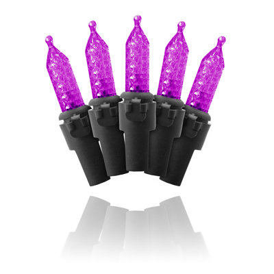 100 Count LED Light String