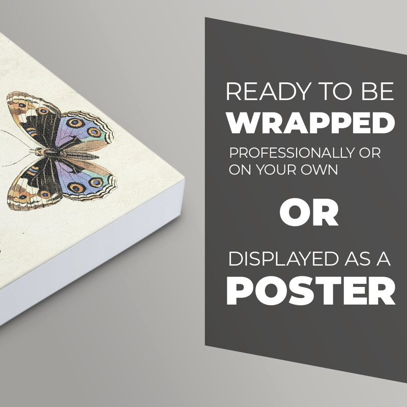 Flutterbys I - Impression sur toile seulement - NON CADRE, H 60 po x l 40 po