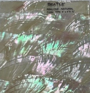 4" x 4" Authentic SeaShell Listello/Border Tile in Abalone Pearl