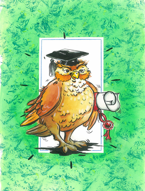 Drapeau de jardin à 2 côtés, diplômes the wise hibou, H 28 po x l 40 po