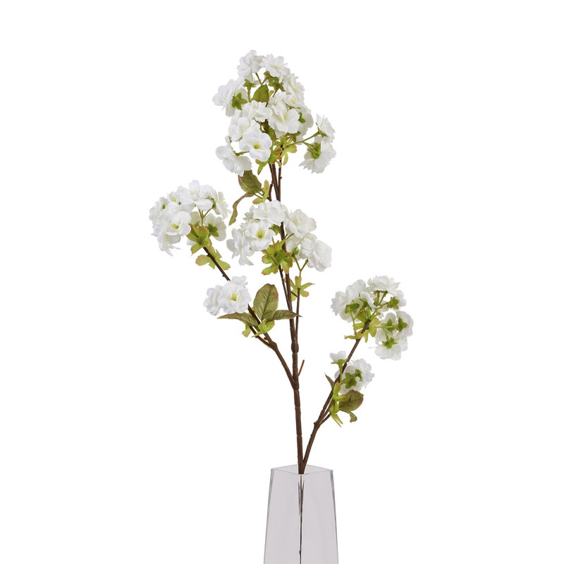 Anastasija Arrangement